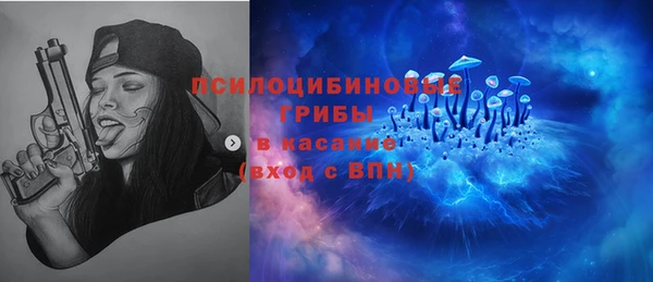 соль ск Лабытнанги