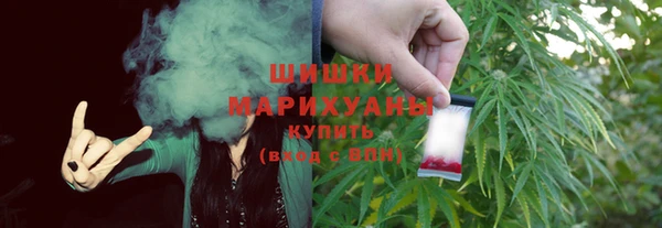 дурь Бородино