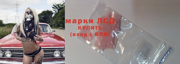 дурь Бородино