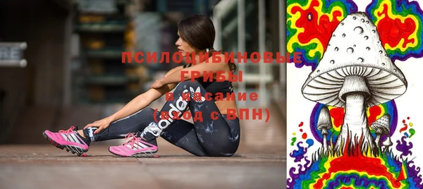 дурь Бородино