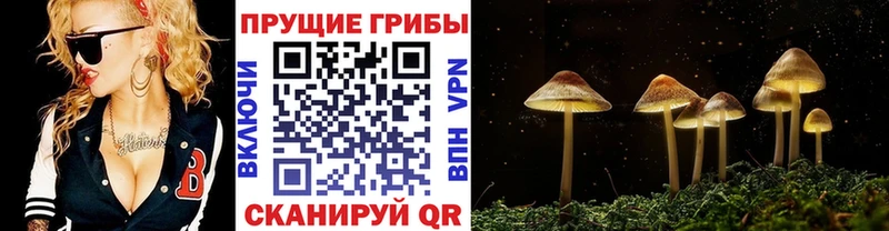 Псилоцибиновые грибы MAGIC MUSHROOMS  Вятские Поляны 